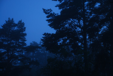 Similar image 22291691