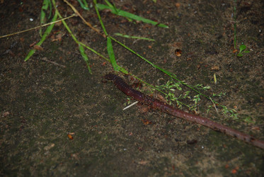 Similar image 22291694