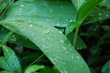 Similar image 22291695