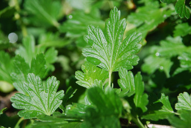 Similar image 22291697