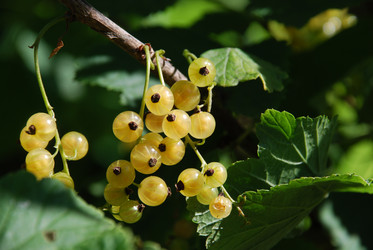 Similar image 22291698