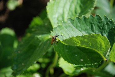 Similar image 22291699