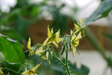 Similar image 22291457