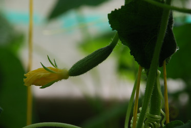 Similar image 22291458