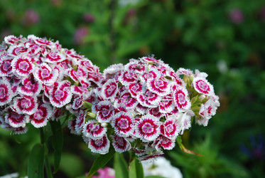 Similar image 22291460