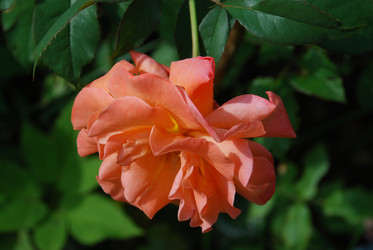 Similar image 22291461