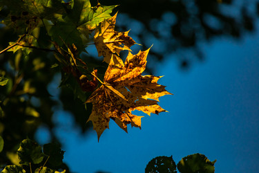 Similar image 22291812