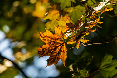 Similar image 22291813