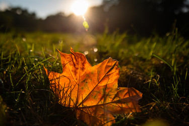 Similar image 22291814