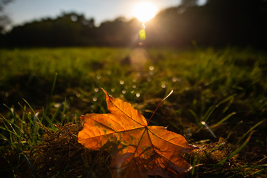 Similar image 22291815