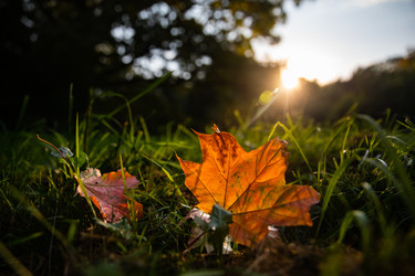 Similar image 22291816