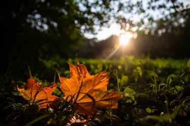 Similar image 22291817