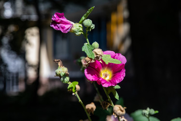 Similar image 22291821