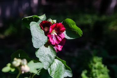 Similar image 22291822