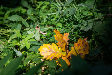 Similar image 22291823