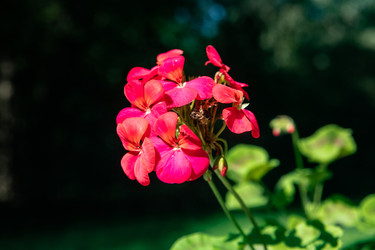 Similar image 22291824