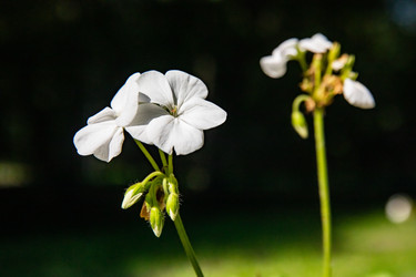 Similar image 22291825