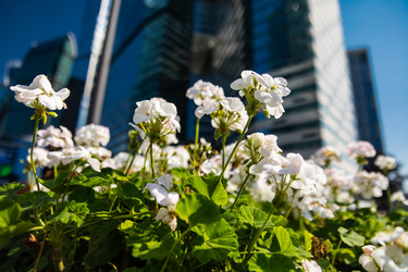 Similar image 22291829