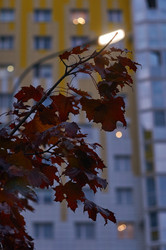 Similar image 22294197