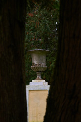 Similar image 22294199