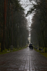 Similar image 22294202