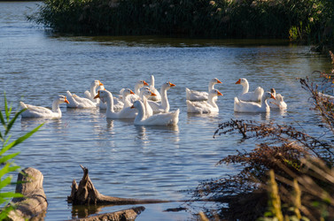 Similar image 22290268