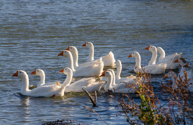 Similar image 22290269