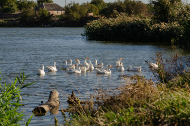 Similar image 22290270