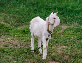 Similar image 22290271