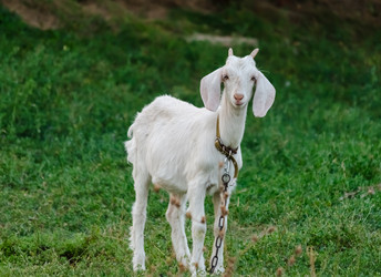 Similar image 22290272