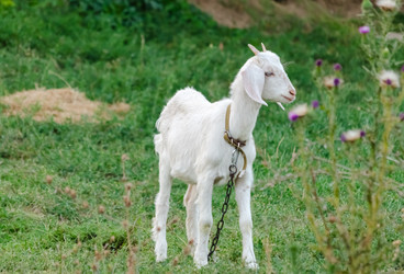 Similar image 22290273