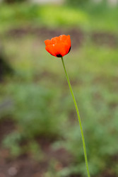 Similar image 22290274