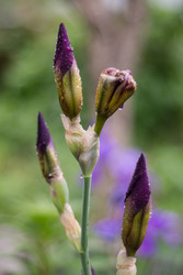 Similar image 22290275