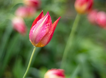 Similar image 22290276