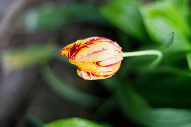 Similar image 22290277