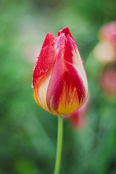 Similar image 22290278