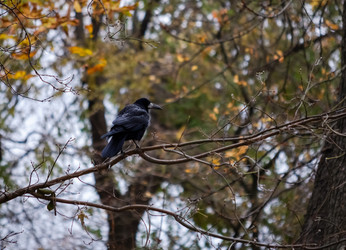 Similar image 22290280