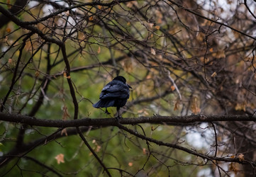 Similar image 22290281