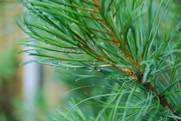 Similar image 22291472