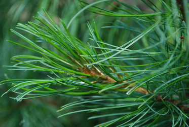 Similar image 22291473