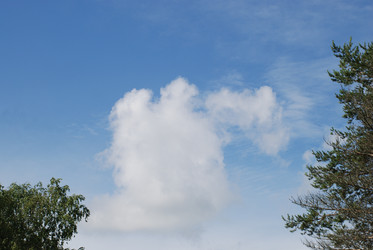 Similar image 22291475