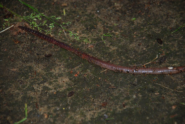 Similar image 22291476