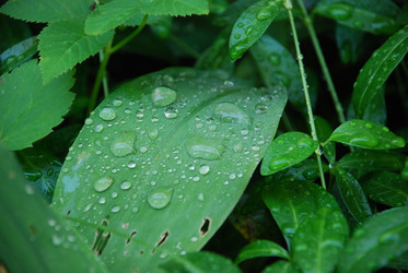 Similar image 22291477