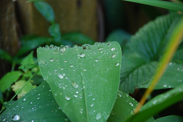 Similar image 22291479