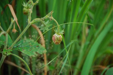 Similar image 22291480