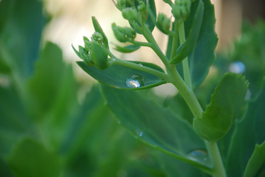 Similar image 22291481