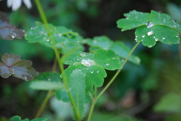 Similar image 22291482