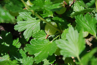 Similar image 22291483