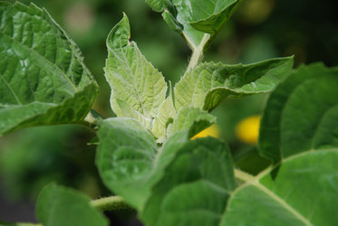 Similar image 22291485