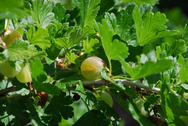 Similar image 22291486